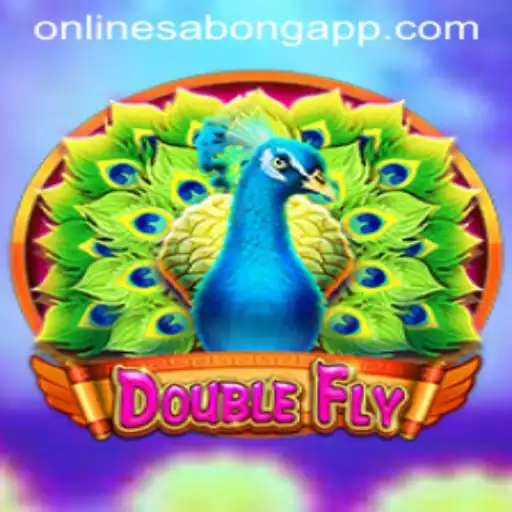 Exploring DoubleFly: An Insight into the ONLINESABONG APP
